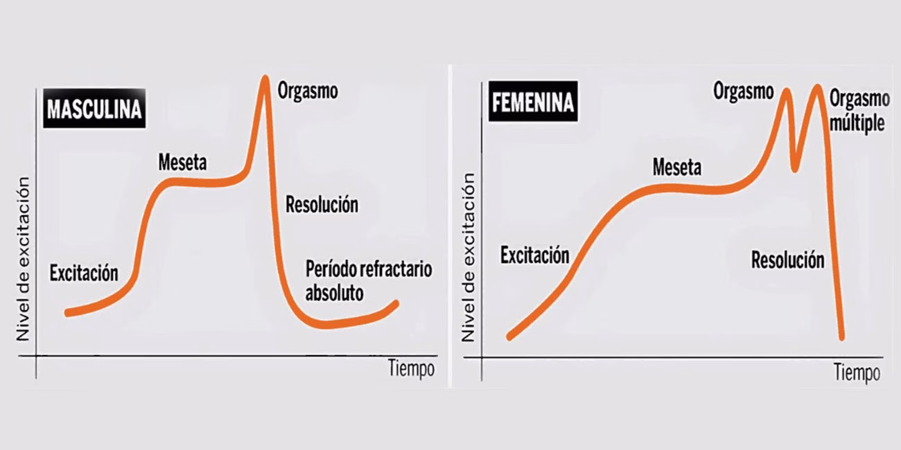 Fases-de-la-respuesta-sexual-humana imagen-size